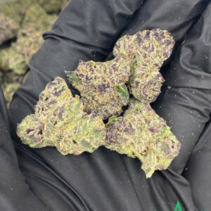 Buy Black Cherry Pie Cannabis Strain Online