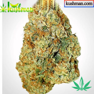 Buy Gorilla Glue Strain Online