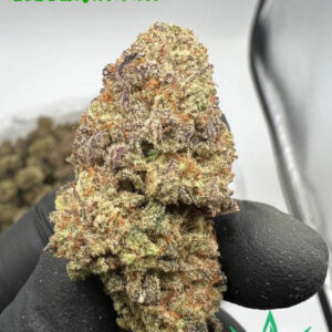 Buy White OG Strain Online