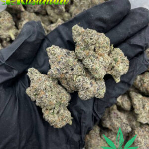 Buy Purple Crack Strain Online