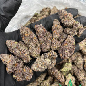 Purple Kush For Sale