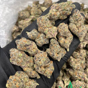 Buy OG Kush Online