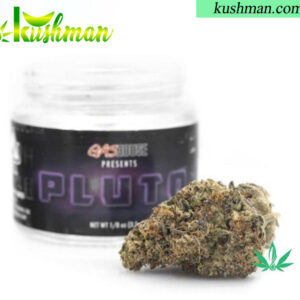 Buy Pluto Online