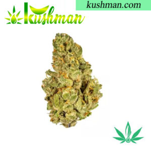 Buy Kush Mints OnlineBuy Kush Mints Online