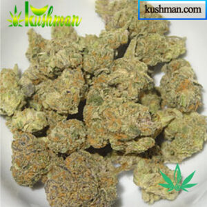 Buy AK-47 Strain Online 