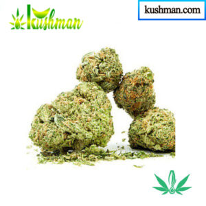 Buy Lemon Kush Seeds Online