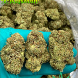 Buy Querkle Kush Online 