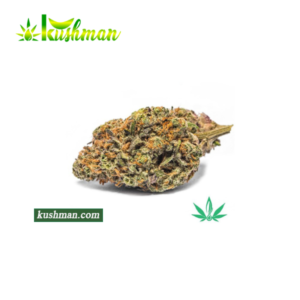 Buy Blue Dream Strain Online