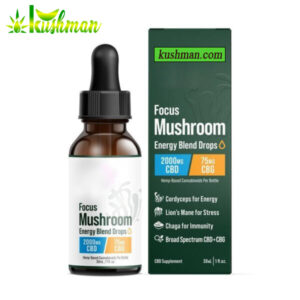 Focus Blend Mushroom Tincture + CBG + CBD