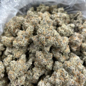 Buy Sleestack Kush online