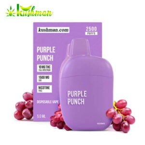 Purple Punch THC Vape Pen 1500mg CBD + 10mg THC delta 9 vapes sezzel purple punch delta 9 vape pens purple punch vape purple vape purple weed pen purple vape pen