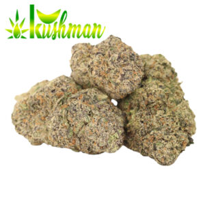 Slapz Strain Buy Online