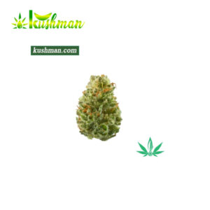 Strawberry Cough For Sale Online