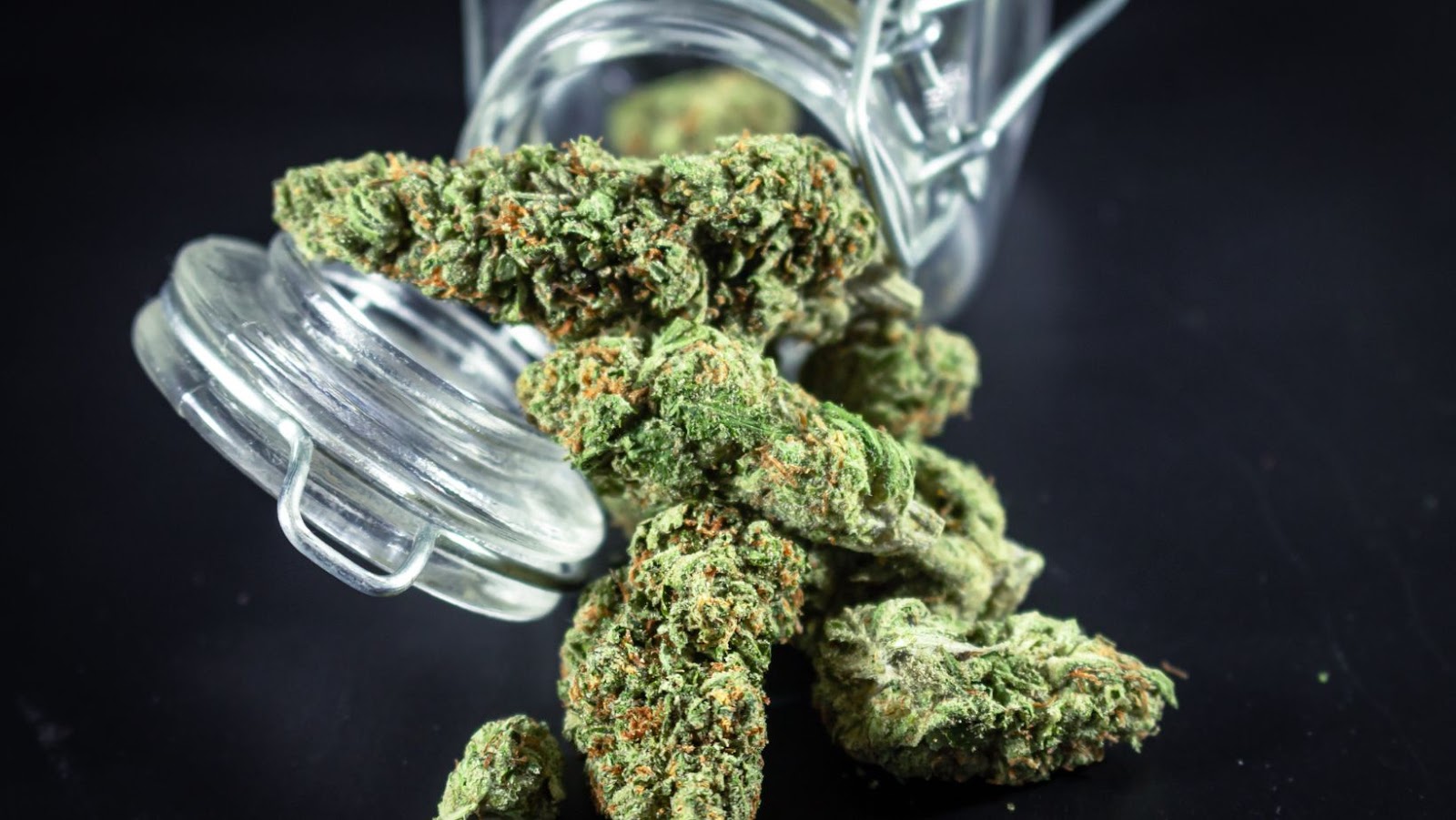 an Ounce of Weed