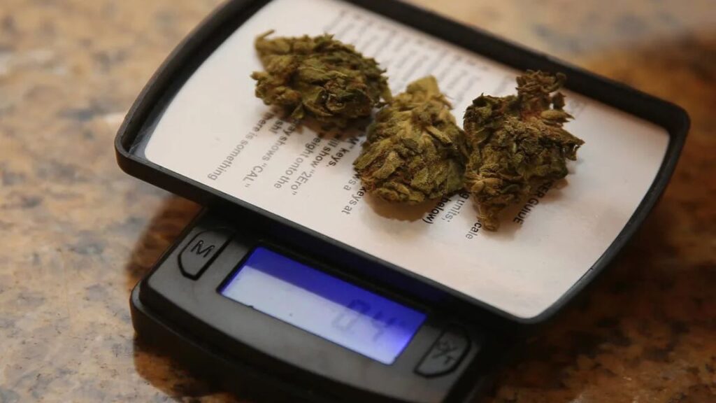 autoflower weed feeding schedule
