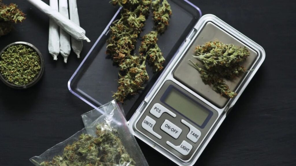 guide to cannabis flower potency