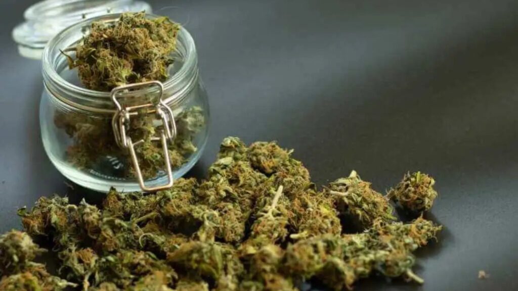 what does THCa flower mean