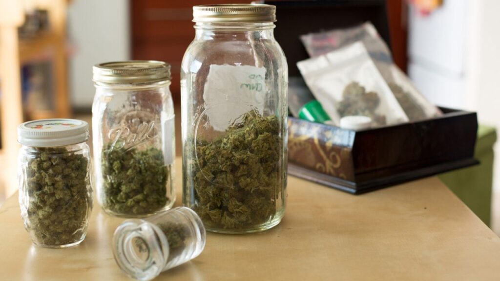 where does weed grow in the wild