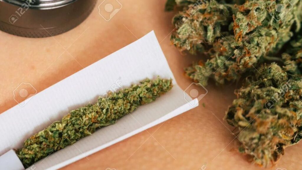 sun rock weed